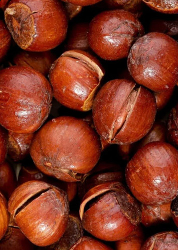 فندق ایرانی شور/ یک کیلو گرم