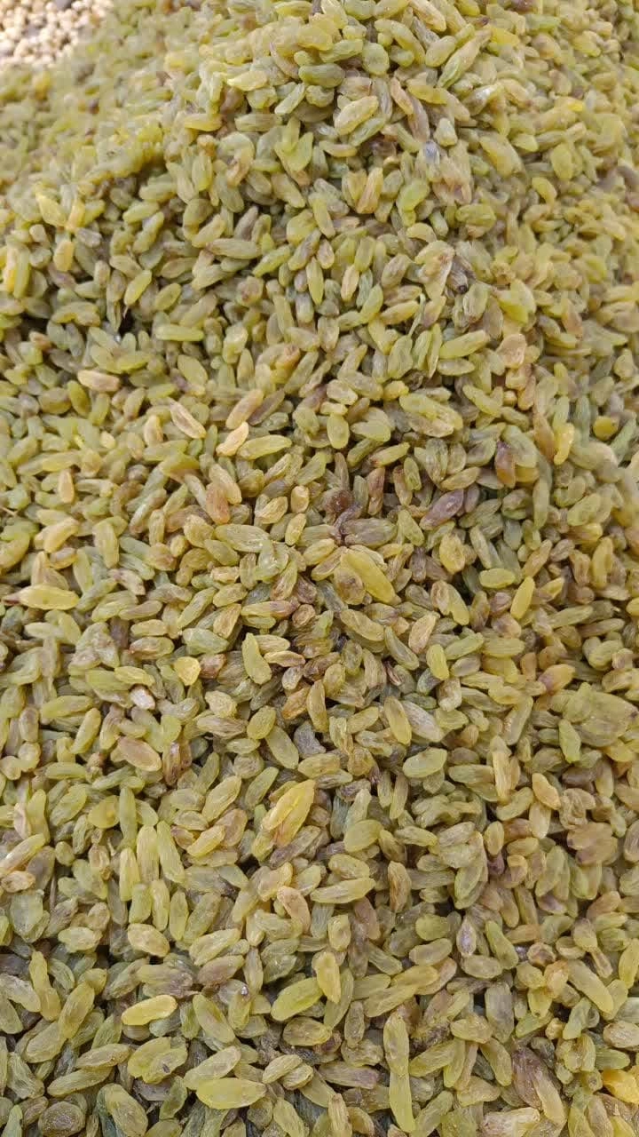 کشمش سبز ممتاز/ یک کیلو گرم