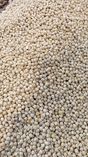 نخوچی / یک کیلوگرم